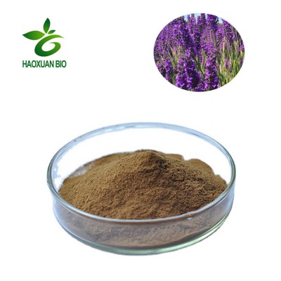 Hot Sale Natural Lavender Extract/Lavandula Angustifolia Extract