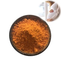 High Quality Vitamin B9 Powder Cas 59-30-3 Folic Acid Vitamin B9 Powder