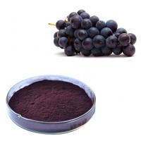 high quality black currant extract powder