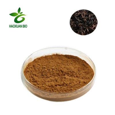 Natural Water Soluble Black Tea Extract Powder