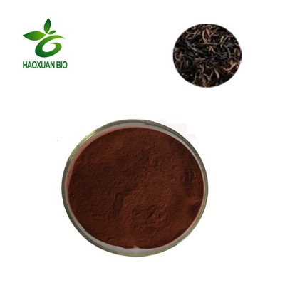 Pure Natural Black Tea Extract Theaflavin 10% 40% With Bulk Price