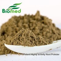 Noni powder